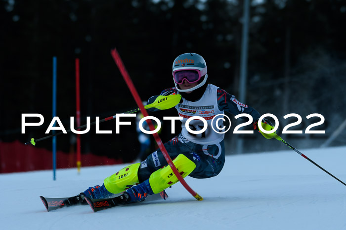 FIS AC NJC Damen + Herren Super-G