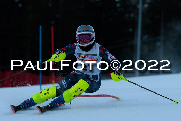 FIS AC NJC Damen + Herren Super-G