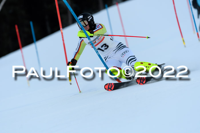 FIS AC NJC Damen + Herren Super-G