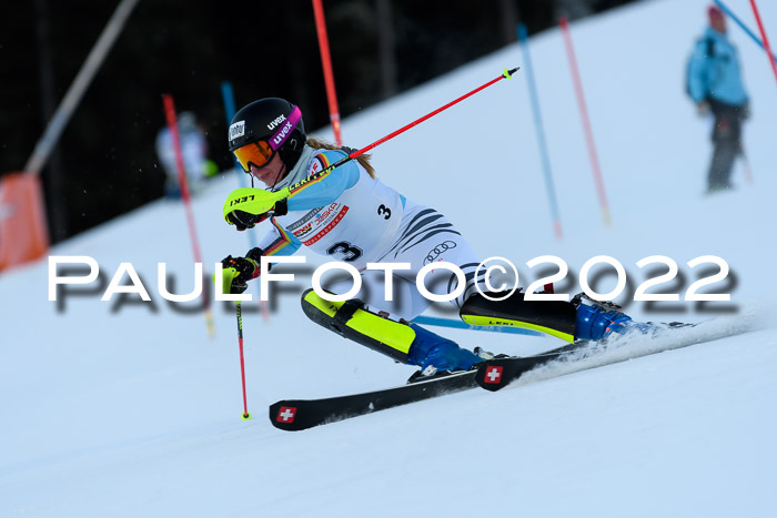 FIS AC NJC Damen + Herren Super-G