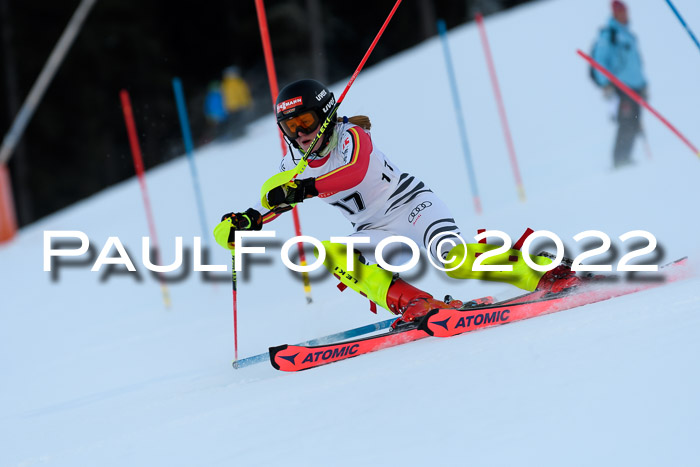 FIS AC NJC Damen + Herren Super-G