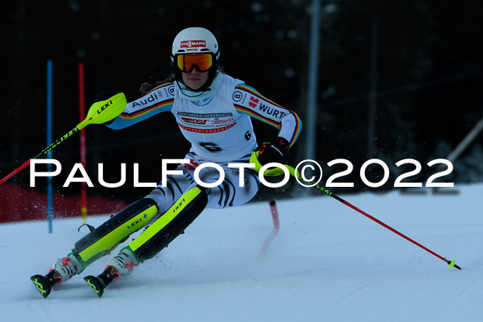 FIS AC NJC Damen + Herren Super-G