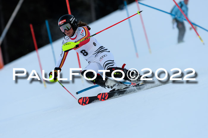 FIS AC NJC Damen + Herren Super-G