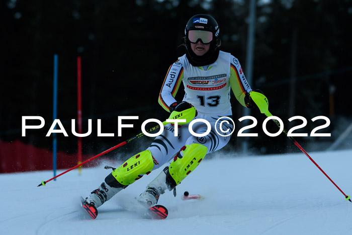 FIS AC NJC Damen + Herren Super-G