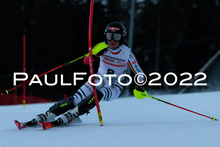 FIS AC NJC Damen + Herren Super-G