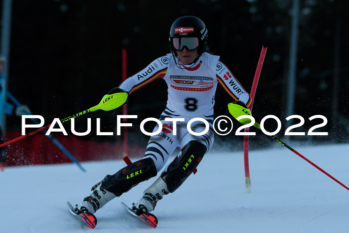 FIS AC NJC Damen + Herren Super-G