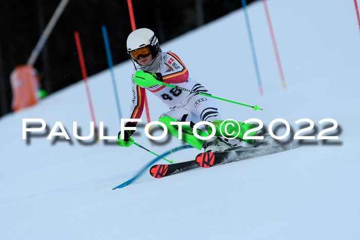 FIS AC NJC Damen + Herren Super-G