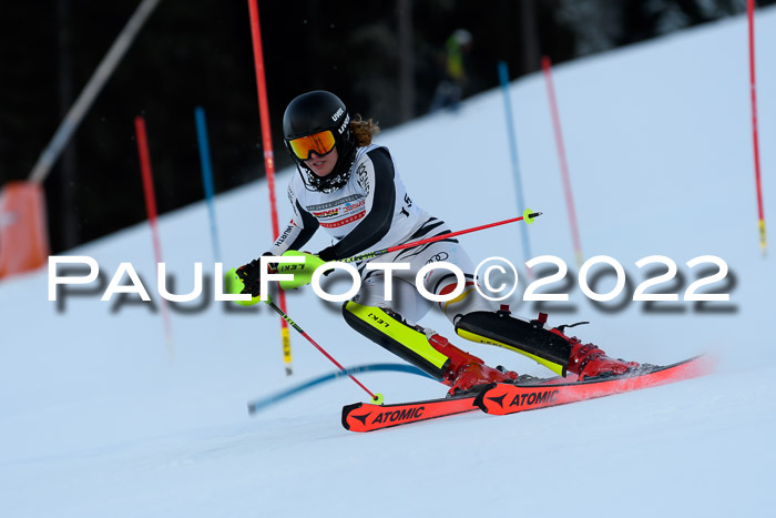 FIS AC NJC Damen + Herren Super-G