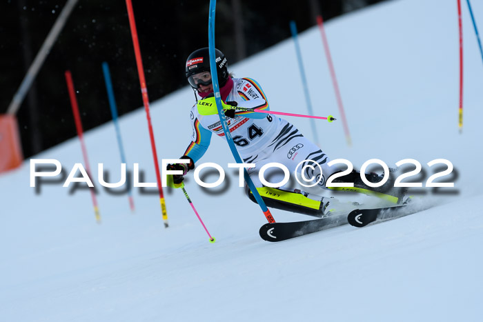 FIS AC NJC Damen + Herren Super-G