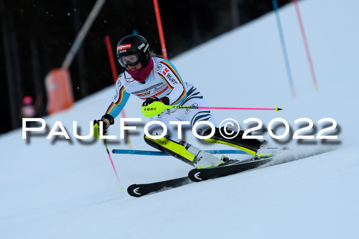 FIS AC NJC Damen + Herren Super-G