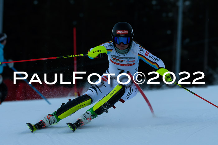 FIS AC NJC Damen + Herren Super-G