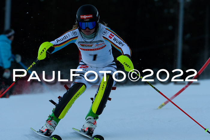 FIS AC NJC Damen + Herren Super-G