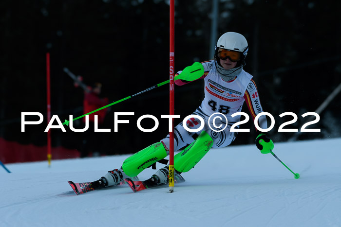 FIS AC NJC Damen + Herren Super-G