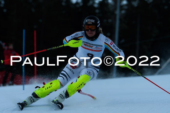 FIS AC NJC Damen + Herren Super-G