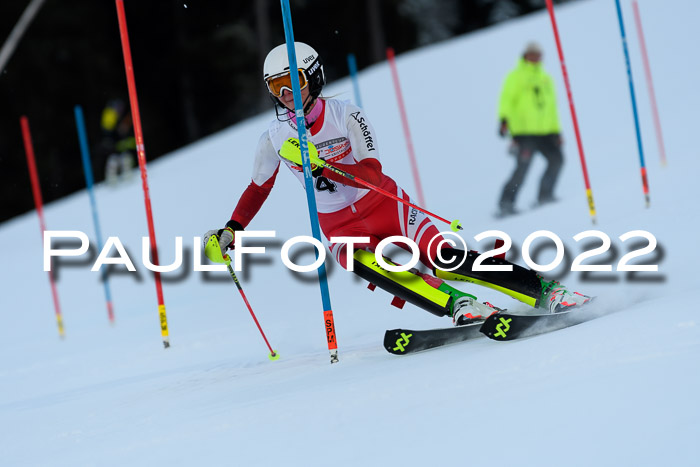 FIS AC NJC Damen + Herren Super-G