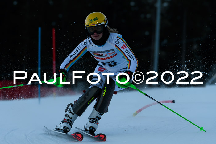 FIS AC NJC Damen + Herren Super-G