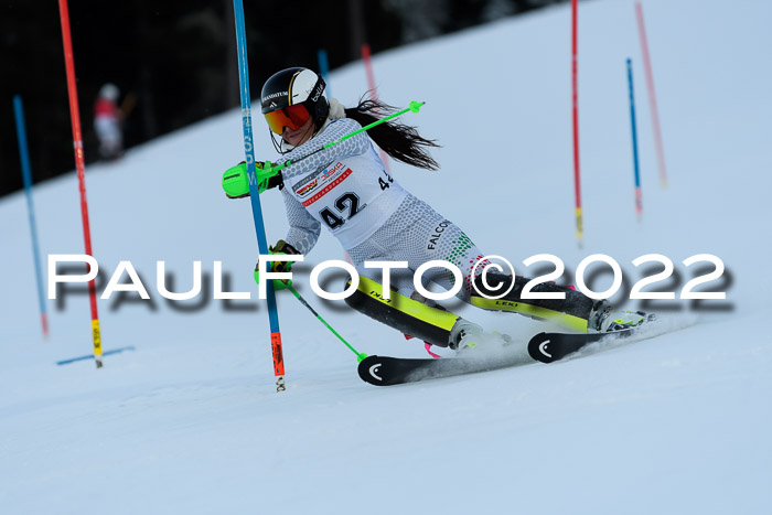 FIS AC NJC Damen + Herren Super-G