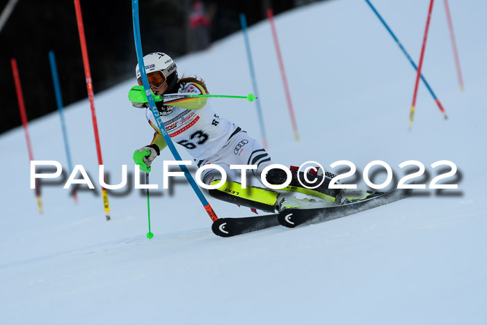 FIS AC NJC Damen + Herren Super-G