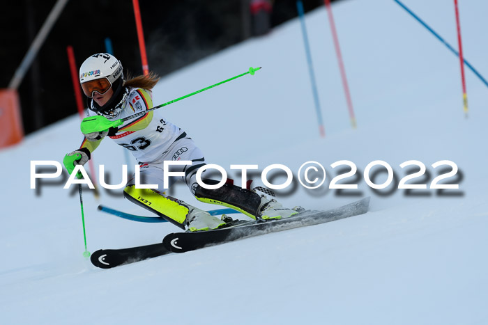 FIS AC NJC Damen + Herren Super-G