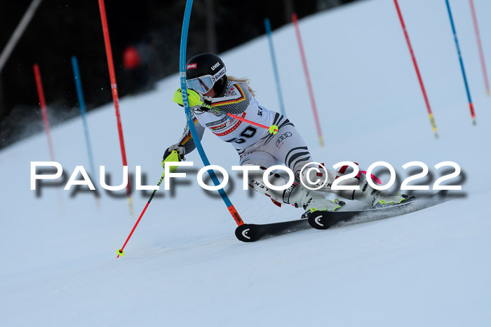 FIS AC NJC Damen + Herren Super-G