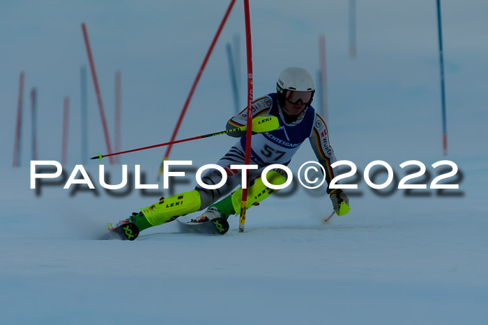 FIS AC NJC Damen + Herren Super-G