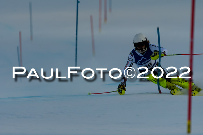 FIS AC NJC Damen + Herren Super-G