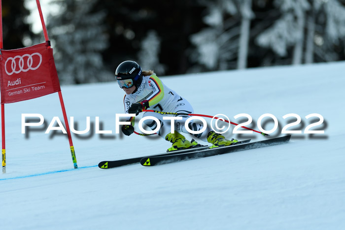 FIS AC NJC Damen + Herren Super-G