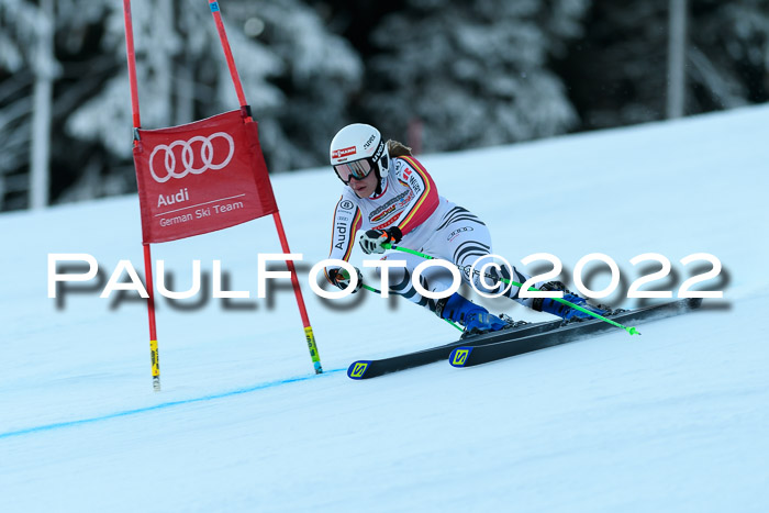 FIS AC NJC Damen + Herren Super-G