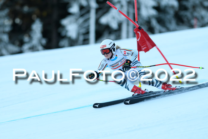 FIS AC NJC Damen + Herren Super-G