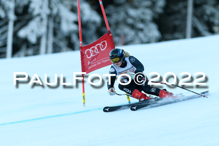 FIS AC NJC Damen + Herren Super-G