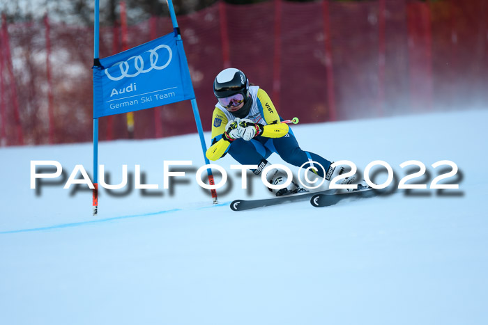 FIS AC NJC Damen + Herren Super-G