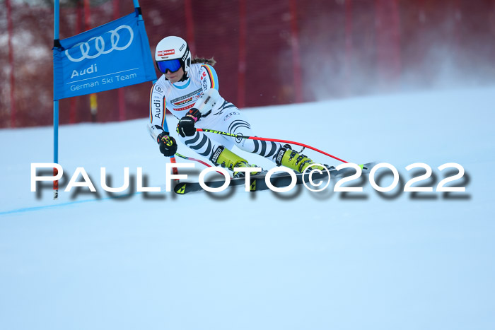 FIS AC NJC Damen + Herren Super-G