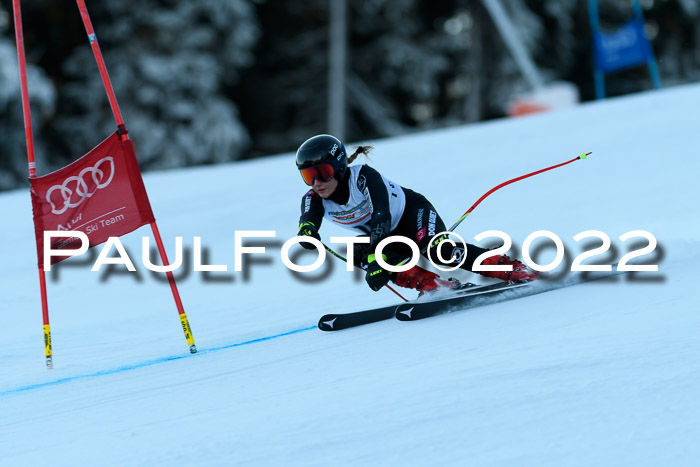 FIS AC NJC Damen + Herren Super-G