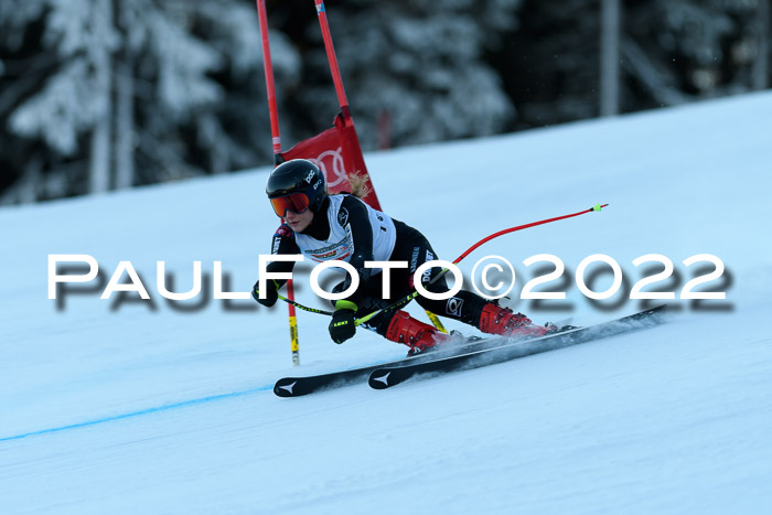 FIS AC NJC Damen + Herren Super-G