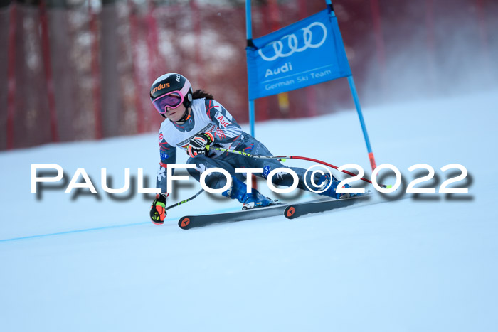 FIS AC NJC Damen + Herren Super-G