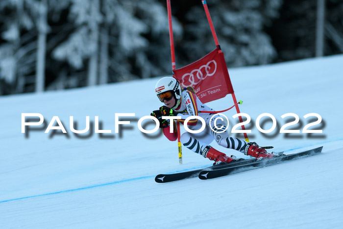 FIS AC NJC Damen + Herren Super-G