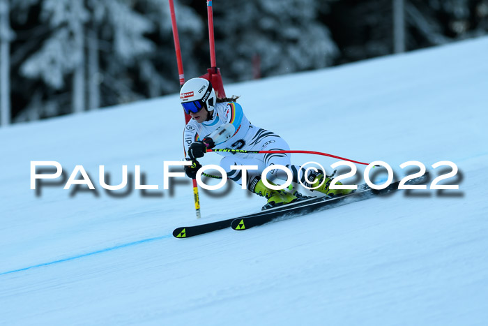 FIS AC NJC Damen + Herren Super-G