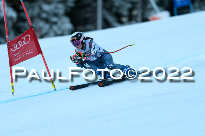 FIS AC NJC Damen + Herren Super-G