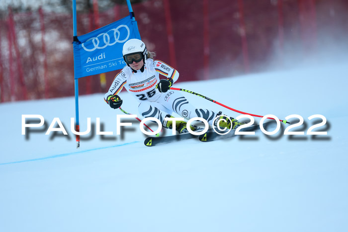 FIS AC NJC Damen + Herren Super-G