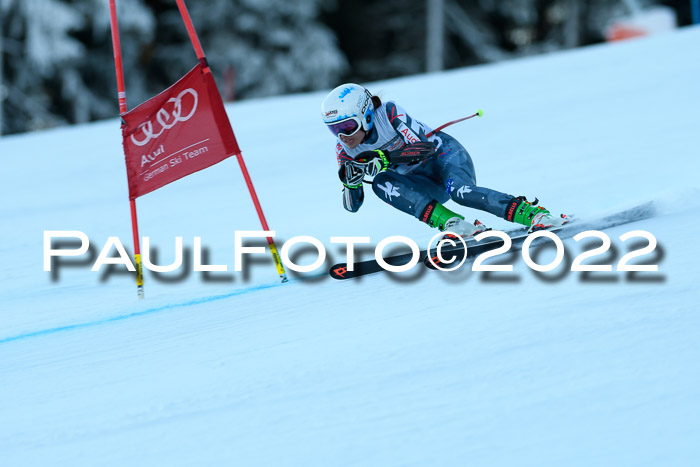 FIS AC NJC Damen + Herren Super-G