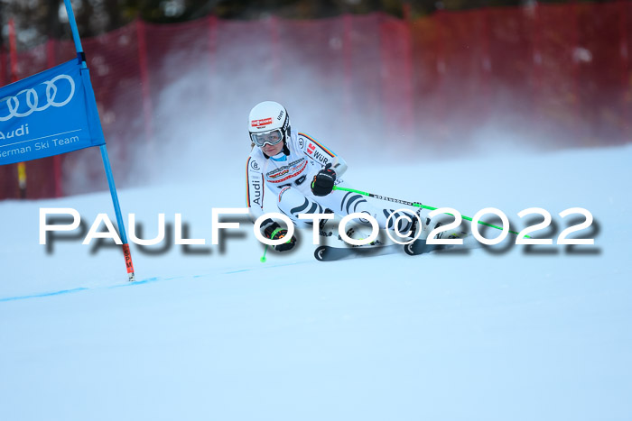 FIS AC NJC Damen + Herren Super-G