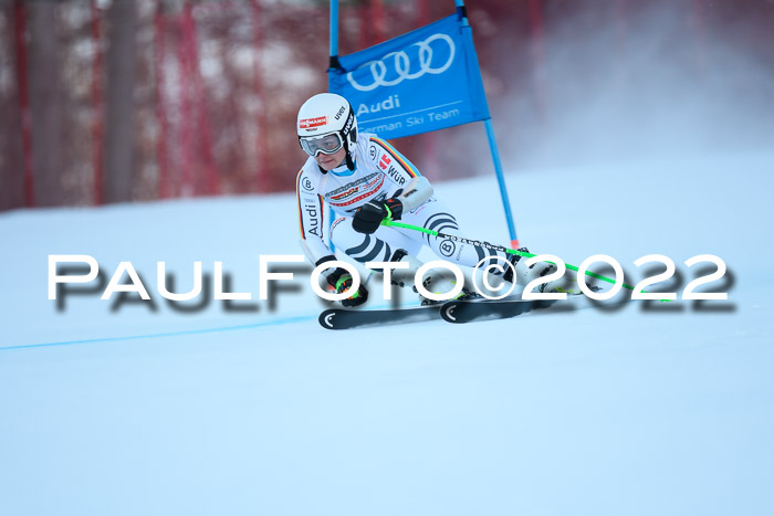 FIS AC NJC Damen + Herren Super-G