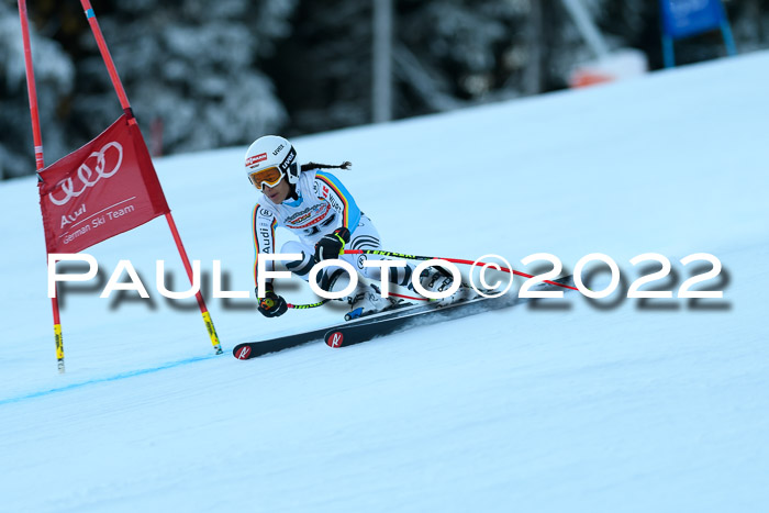 FIS AC NJC Damen + Herren Super-G