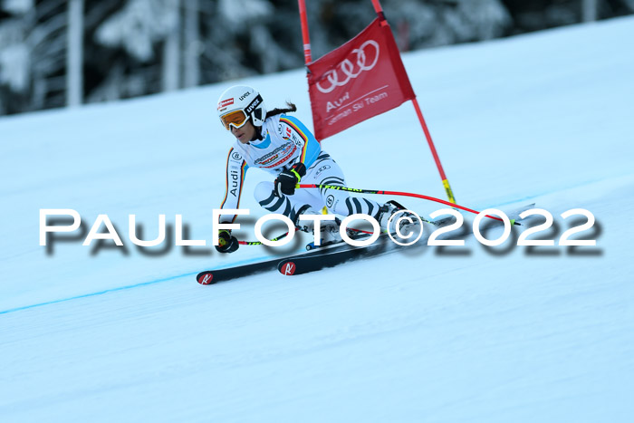 FIS AC NJC Damen + Herren Super-G