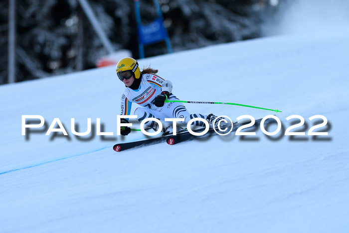 FIS AC NJC Damen + Herren Super-G