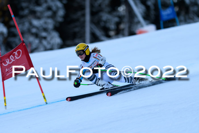 FIS AC NJC Damen + Herren Super-G