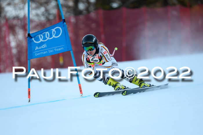 FIS AC NJC Damen + Herren Super-G