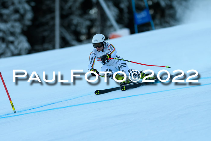 FIS AC NJC Damen + Herren Super-G