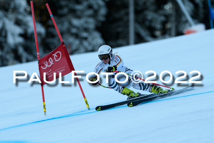 FIS AC NJC Damen + Herren Super-G