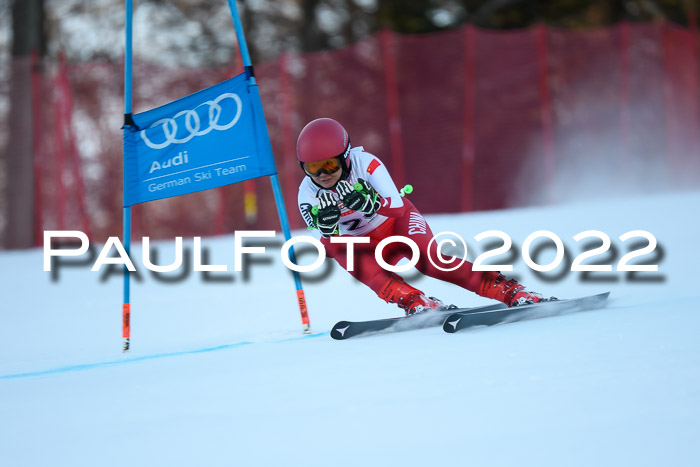 FIS AC NJC Damen + Herren Super-G